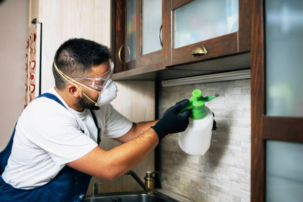 Best Emergency Pest Control  in Charleroi, PA