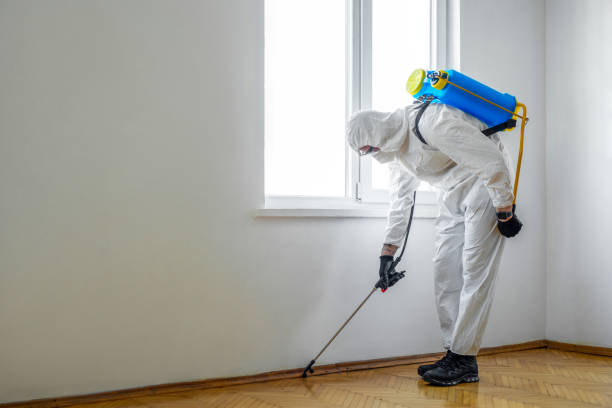Best Pest Control Treatment  in Charleroi, PA