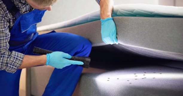 Best Pest Removal Services  in Charleroi, PA
